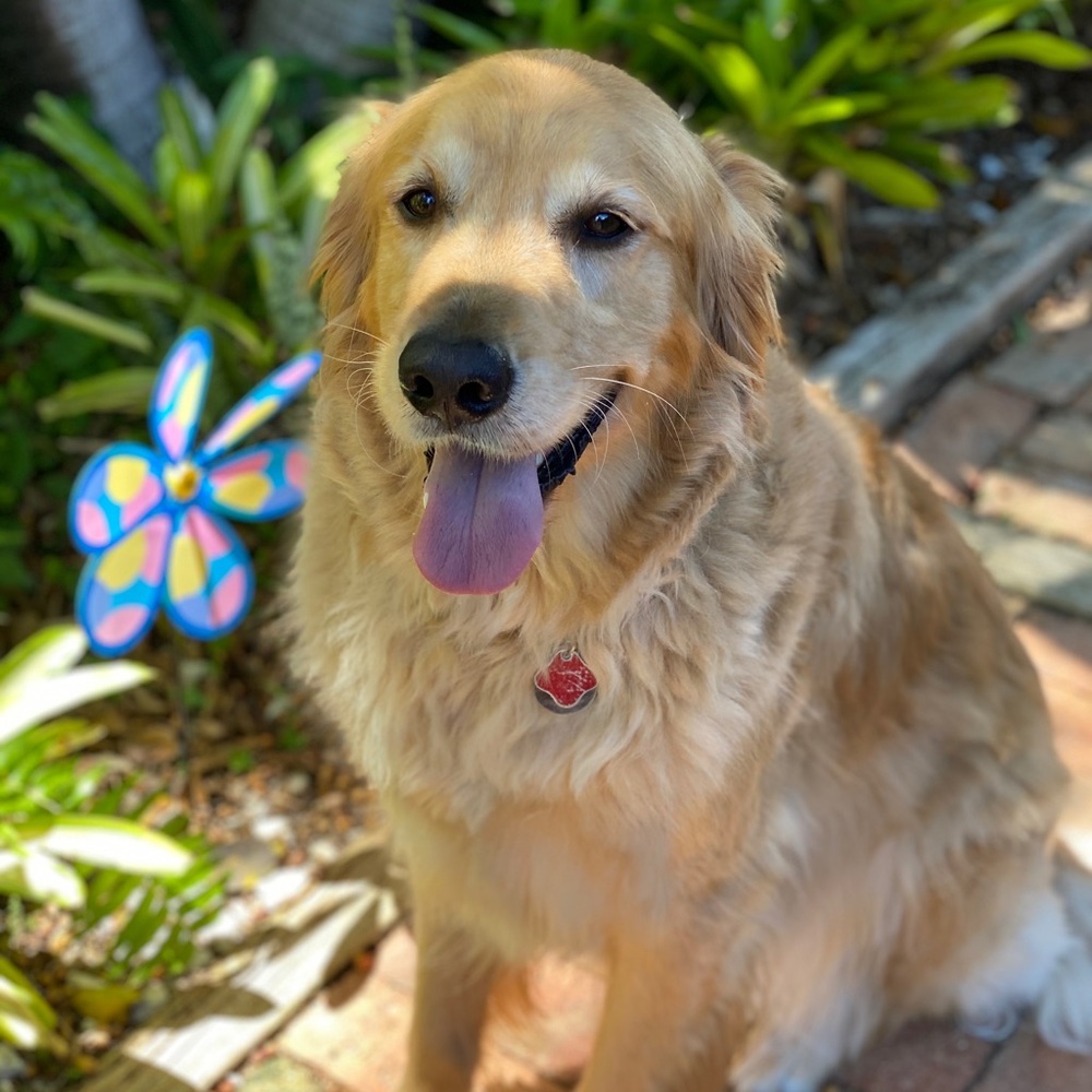 Meet your Posher, Alejandra